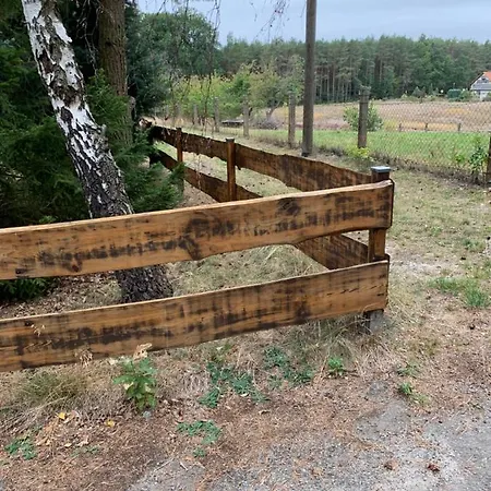 Pension Lausa Casa vacanze