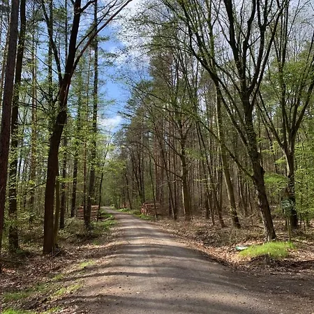 Σπίτι διακοπών Pension Lausa *